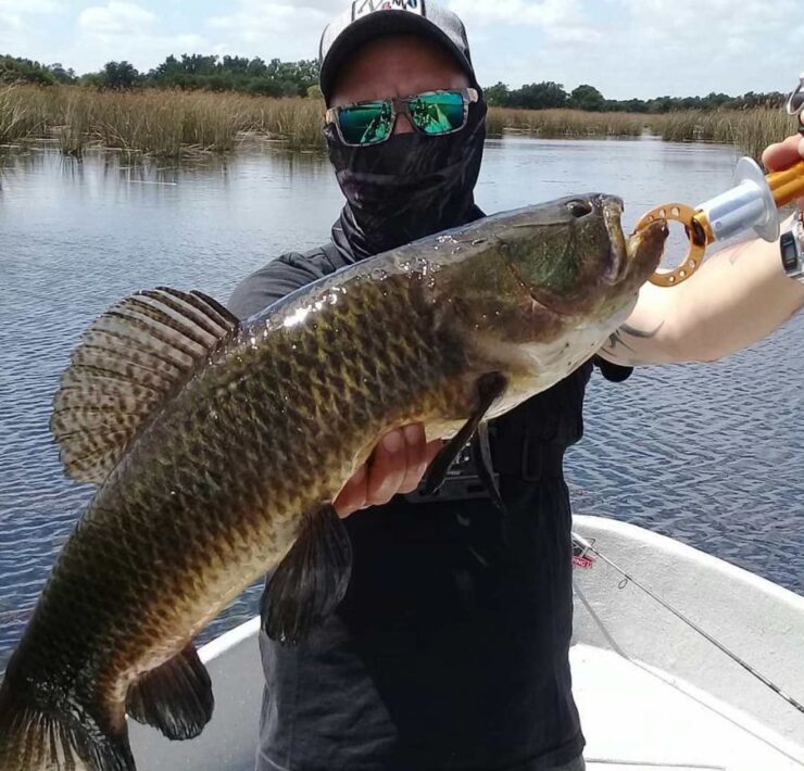 V&E - Pesca