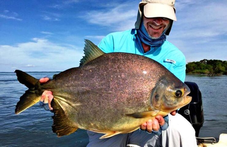 A&E - Pesca