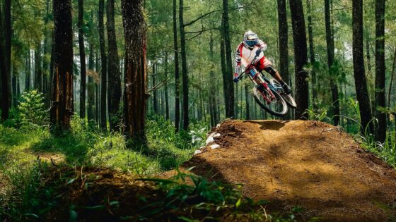 V&E - Mountain Bike