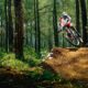 V&E - Mountain Bike