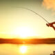 V&E - Pesca