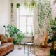 V&E - Decoración Plantas